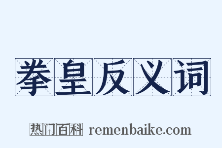 拳皇反义词是什么意思的图片